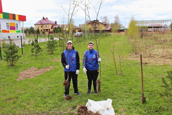 80 деревьев посадят в Кинешме в рамках акции «Сад памяти»